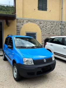 FIAT PANDA 4X4  1200 BENZINA  ANNO 2005